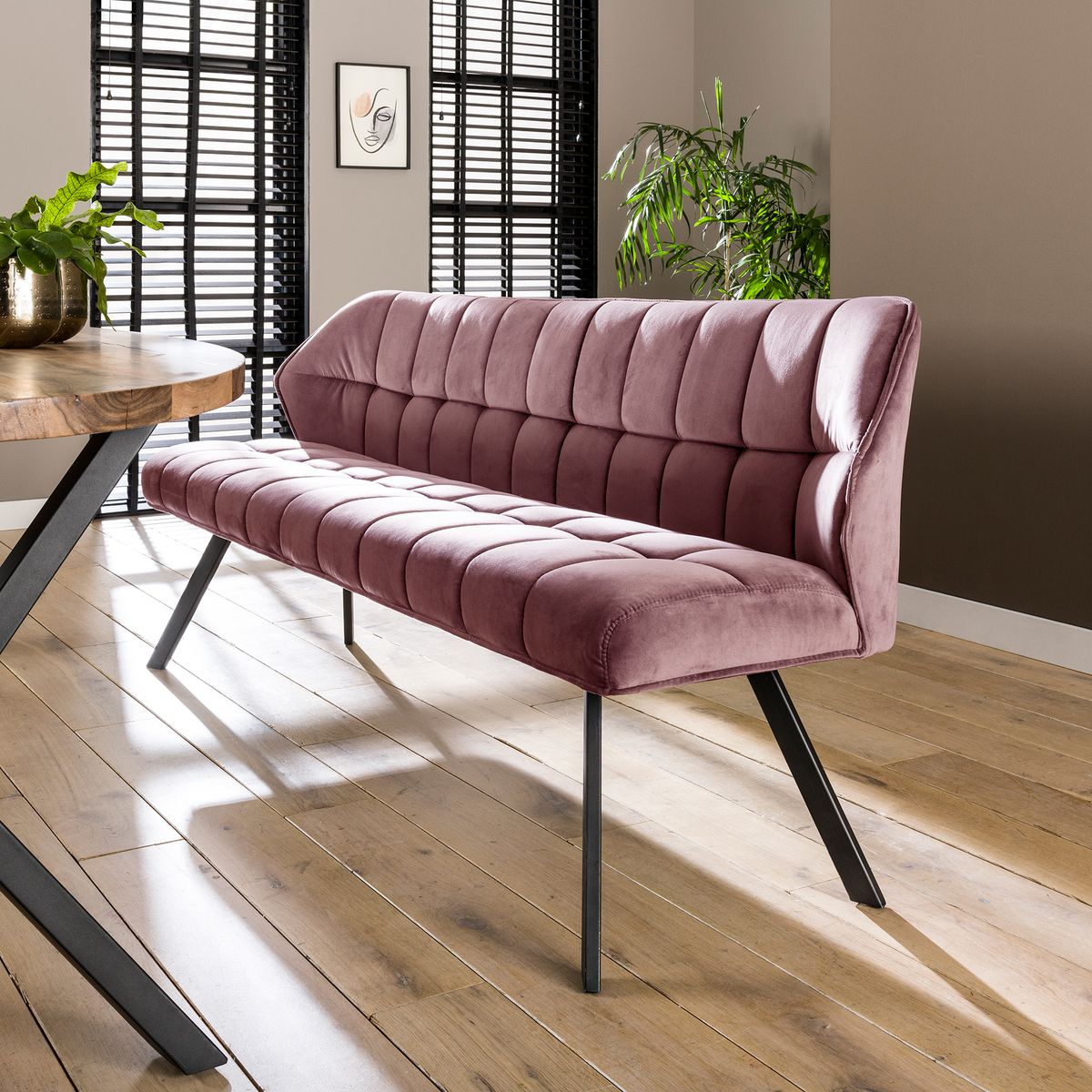 Clapton - Bænk i 4 forskellige farver fløjl med længde 180 cm. Fløjl - pink