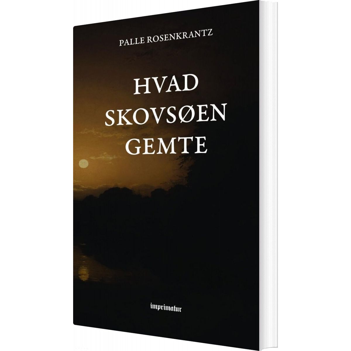 Hvad Skovsøen Gemte - Palle Rosenkrantz - Bog